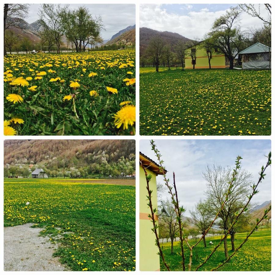Peraj Guesthouse Vermosh Dış mekan fotoğraf