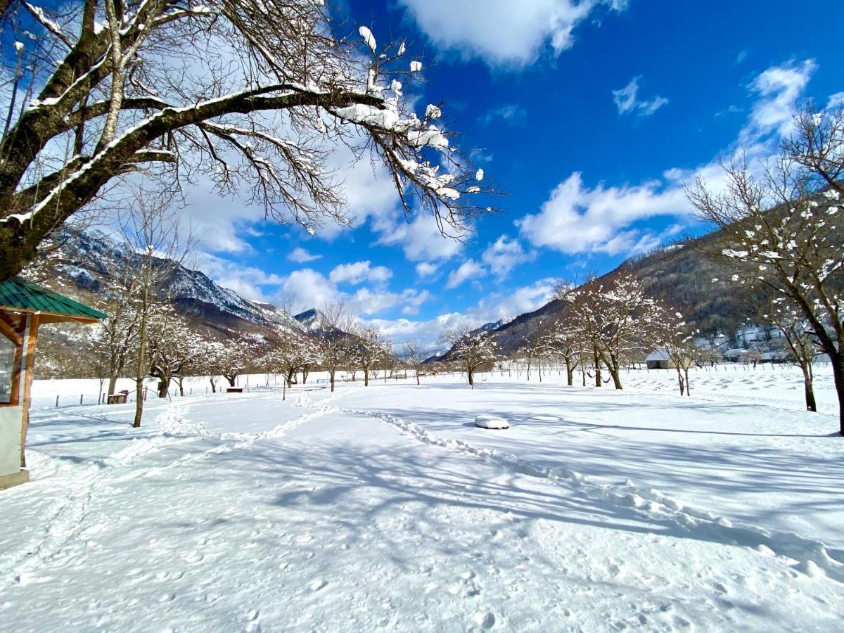 Peraj Guesthouse Vermosh Dış mekan fotoğraf